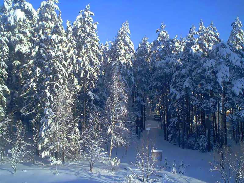 Страна сказок в Беловежской пуще. Памятные места Беларуси. Фото