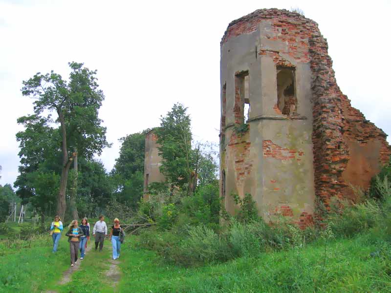 Руины Гольшанского замка. фото. Картинка