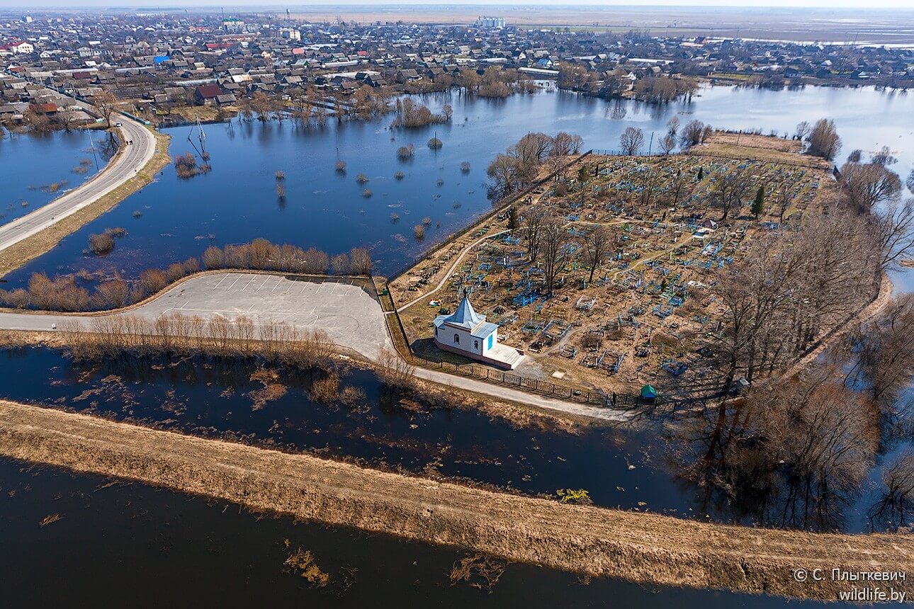 Лясковичи во время разлива Припяти
